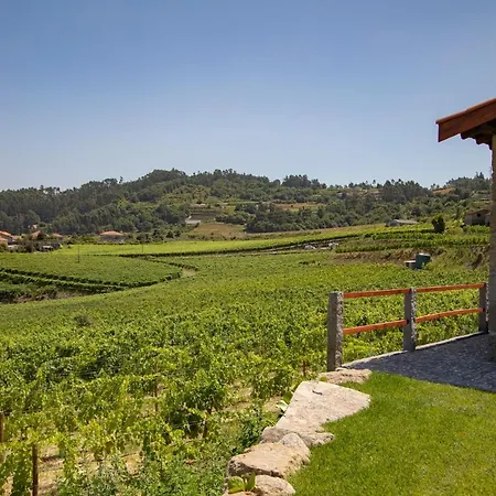 The Ii - Uma Quinta Deslumbrante 別荘 フェルゲイラス