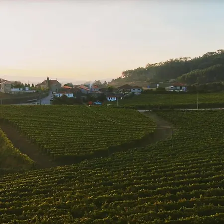 The Ii - Uma Quinta Deslumbrante * フェルゲイラス