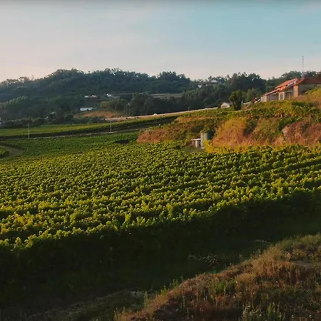 The Ii - Uma Quinta Deslumbrante Casa de Férias