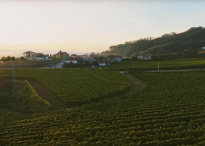 The Ii - Uma Quinta Deslumbrante * Felgueiras