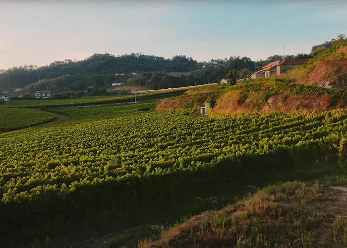 The Ii - Uma Quinta Deslumbrante Casa de Férias